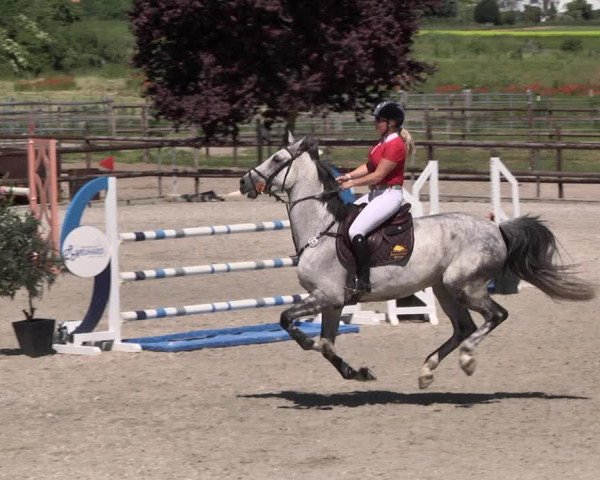 Reitturnier Worms-Pfeddersheim / Reitsportanlage Wittemer 2021