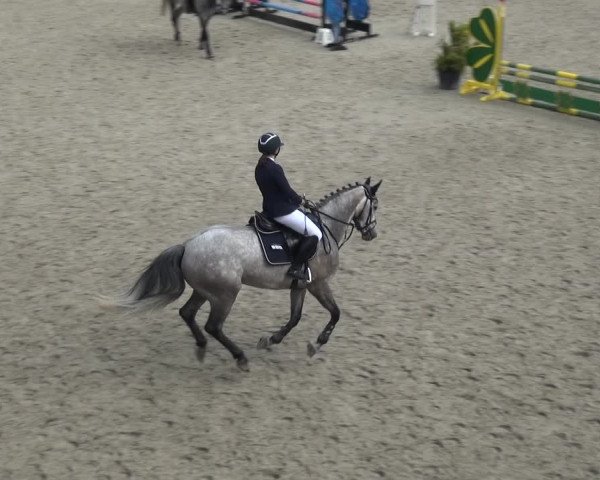 Reitturnier Monheim - Gut Blee 2021