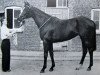 broodmare Game Hide xx (Thoroughbred, 1954, from Big Game xx)