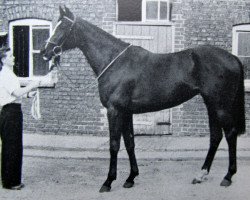 broodmare Game Hide xx (Thoroughbred, 1954, from Big Game xx)