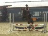 jumper Culo Caliente (German Riding Pony, 2004, from Contus)