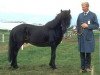 stallion Eyfirðingur frá Akureyri (Iceland Horse, 1964, from Goði frá Álftagerði)