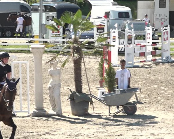 Reitturnier Aesch bei Neftenbach 2021