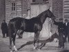 stallion Beskarnyj xx (Thoroughbred, 1925, from Brimston xx)