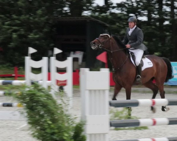 Reitturnier Elmlohe 2021