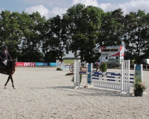 Reitturnier Elmlohe 2021