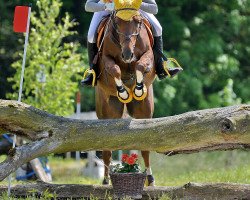 broodmare Jette 84 (German Riding Pony, 2003, from Douglas)