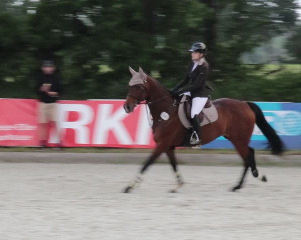 Reitturnier Elmlohe 2021