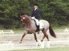 stallion Three-B-Valerian (German Riding Pony, 1979, from Valentino)