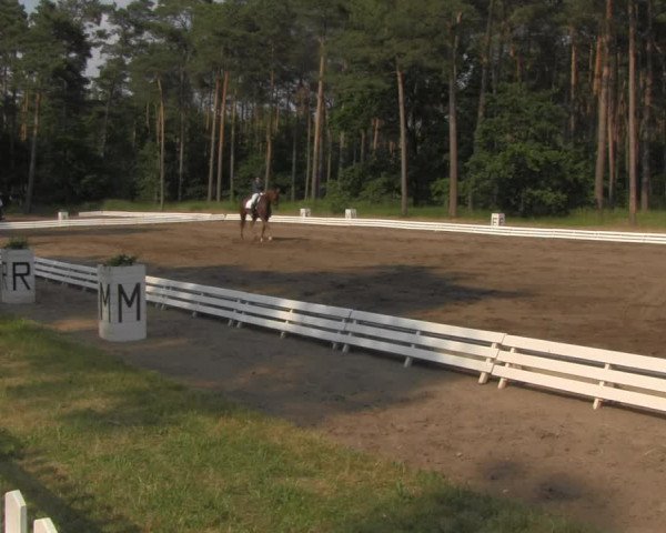 Reitturnier Wörmlitz 2021