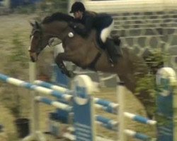 jumper Quantofino 2 (Hanoverian, 2007, from Quality 9)