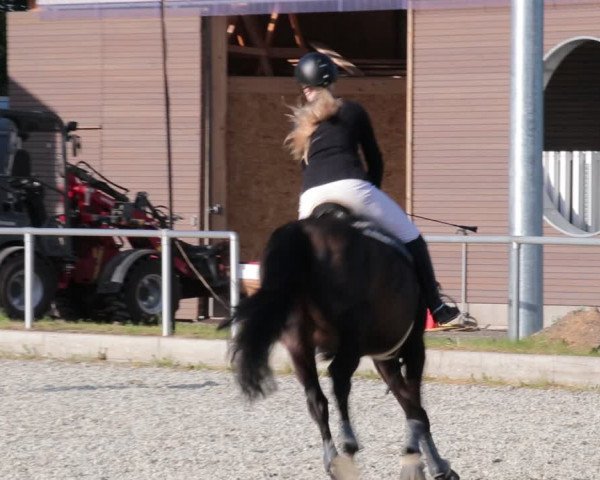 Reitturnier Elmlohe 2021