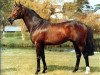 stallion Broken Hearted xx (Thoroughbred, 1984, from Dara Monarch xx)