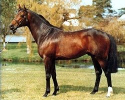 stallion Broken Hearted xx (Thoroughbred, 1984, from Dara Monarch xx)