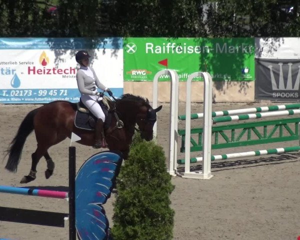 Reitturnier Monheim - Gut Blee 2021