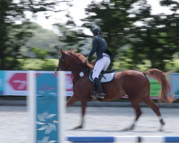 Reitturnier Elmlohe 2021