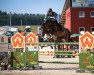 jumper Gerry van Boven (Hanoverian, 2012, from Grey Top)