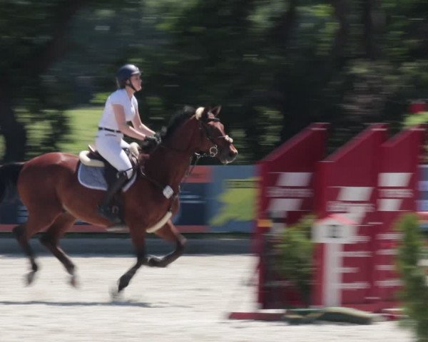 Reitturnier Elmlohe 2021
