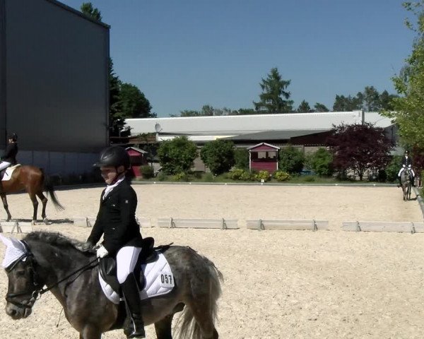 Reitturnier Nürnberg/Mfr. 2021