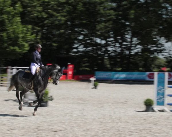 Reitturnier Elmlohe 2021