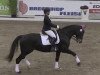 dressage horse For Love (Hanoverian, 1996, from For Joy)