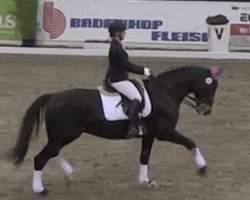 dressage horse For Love (Hanoverian, 1996, from For Joy)