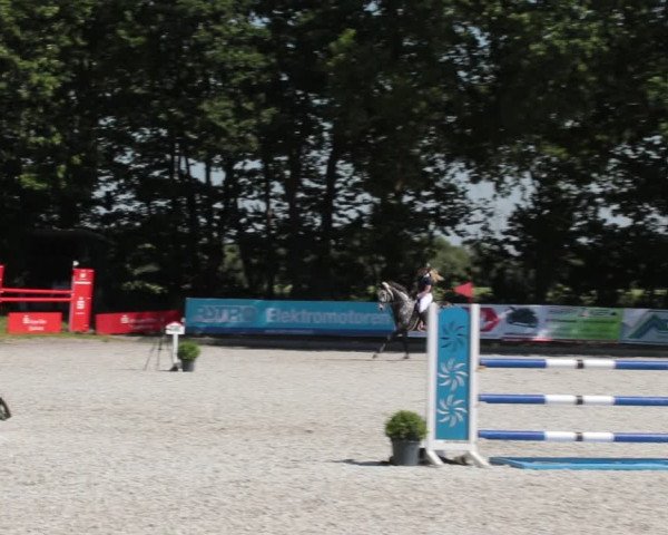 Reitturnier Elmlohe 2021