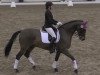 dressage horse Di Stefano 3 (Hanoverian, 1999, from Donnerhall)