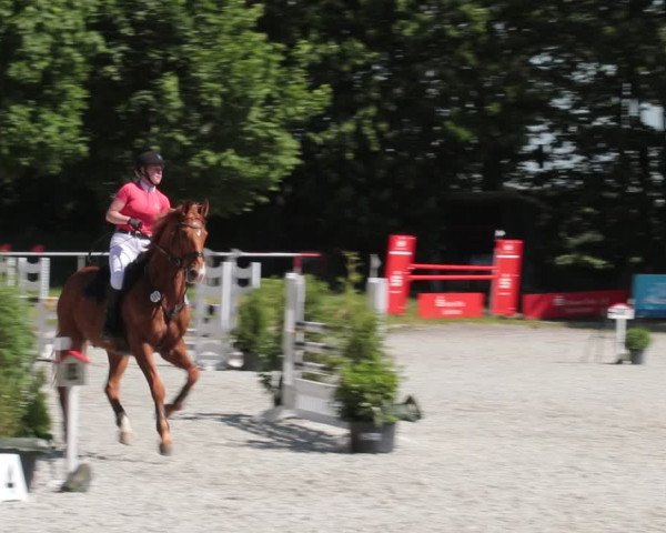 Reitturnier Elmlohe 2021