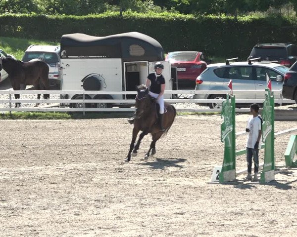 Reitturnier Aesch bei Neftenbach 2021