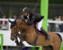 jumper Flash Dance van de Kalevallei (Belgian Warmblood, 2005, from Kashmir van't Schuttershof)