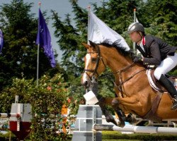 broodmare Esprit (KWPN (Royal Dutch Sporthorse), 1986, from Zeus)