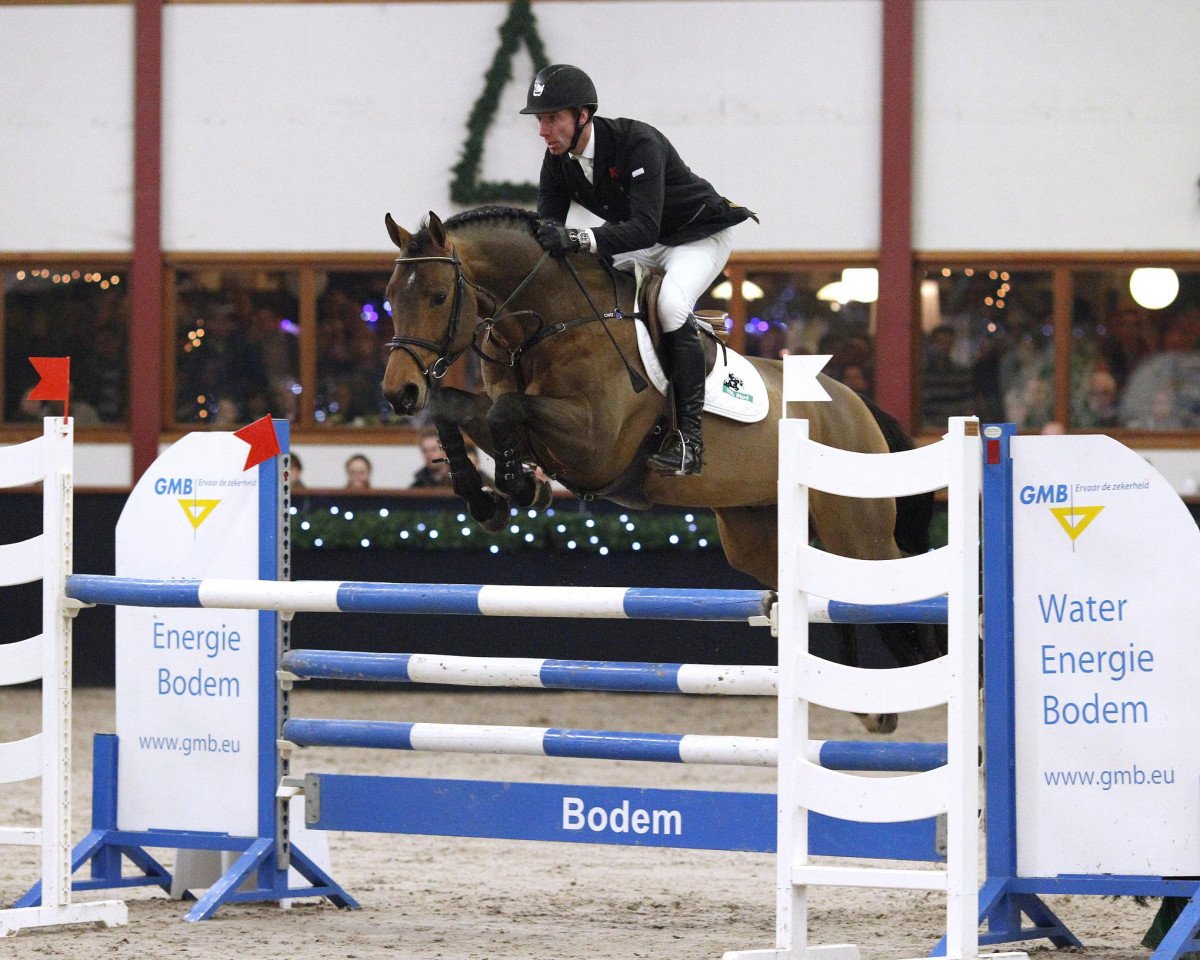 Deckhengst Azteca VDL (KWPN (Niederländisches Warmblut), 2005, von Indoctro)