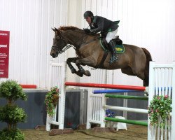 Springpferd Erasmus vd Heffinck (Belgisches Warmblut, 2004, von Cartier 187 FIN)