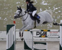 jumper Dior van het Costersveld (Belgian Warmblood, 2003, from Orlando van de Heffinck)