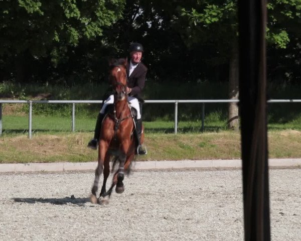 Reitturnier Elmlohe 2021
