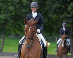 dressage horse Walencio (Hanoverian, 2003, from Worldly I)