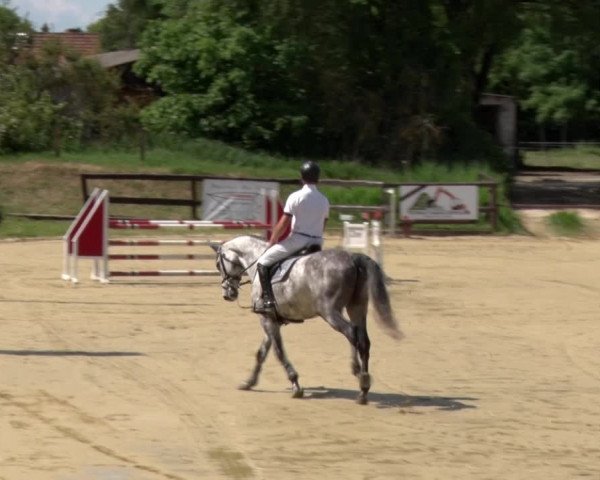 Reitturnier Schönfeld 2021