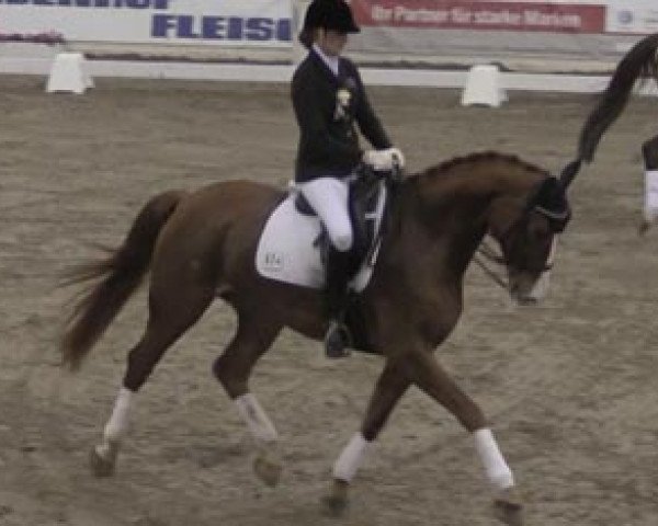dressage horse Ronaldinho 22 (Hanoverian, 2006, from Rascalino)