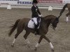 dressage horse Ronaldinho 22 (Hanoverian, 2006, from Rascalino)