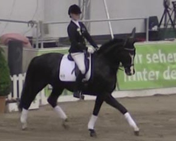 dressage horse Smilya (Hanoverian, 1998, from Saint Cloud)