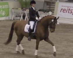 broodmare Walentina 22 (Hanoverian, 2006, from Weltmeyer)