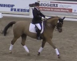 dressage horse Fabriana (Hanoverian, 2002, from Fabriano)