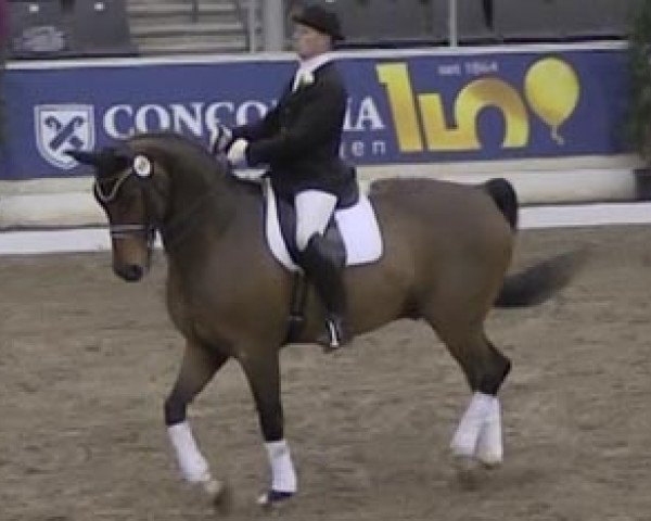 Pferd Rubianus 2 (Hannoveraner, 1996, von Rubinstein I)