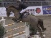 jumper Gala D (Belgian Warmblood, 2006, from Cicero Z van Paemel)