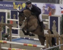 dressage horse Bentley (KWPN (Royal Dutch Sporthorse), 2006, from UB 40)