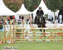 jumper Laudatio Con Dia (German Riding Pony, 2006, from Laudatio)