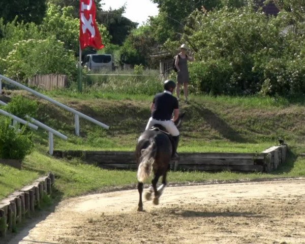 Reitturnier Schönfeld 2021