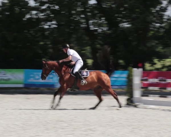 Reitturnier Elmlohe 2021