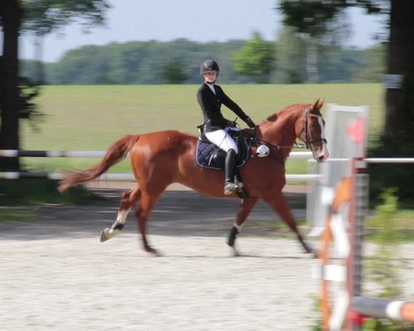 Reitturnier Elmlohe 2021